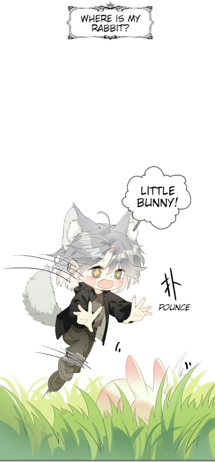 A Fox page 37