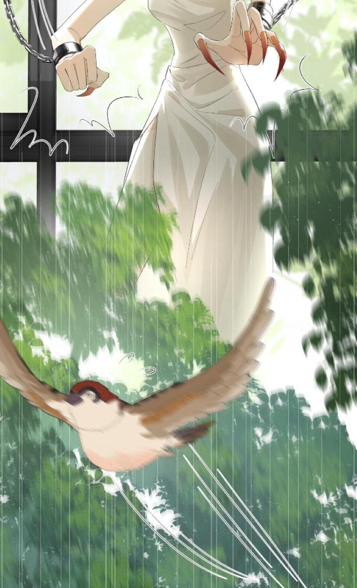 Captive Gray Wolf page 40