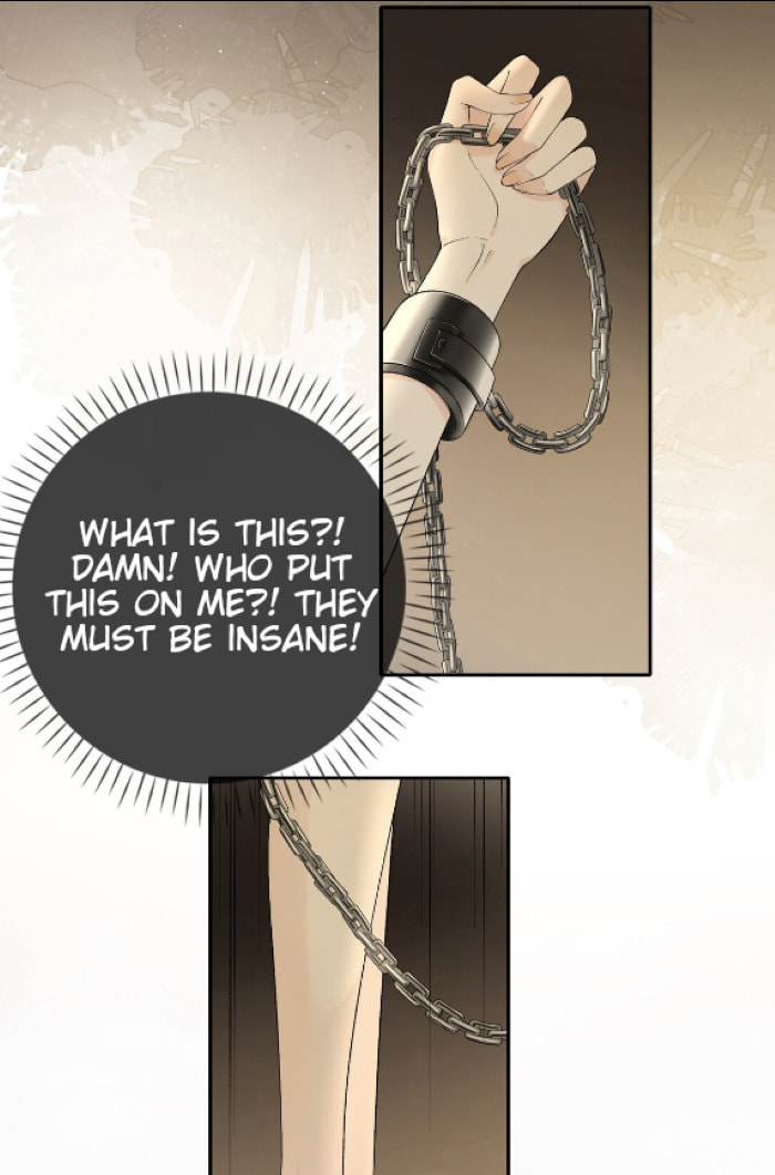 Captive Gray Wolf page 28