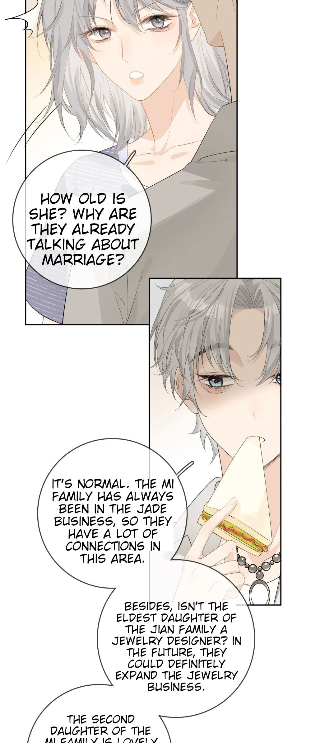 The Jian Family Secret page 30