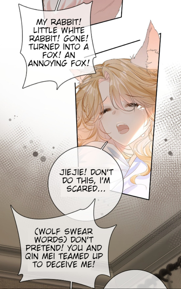 A Fox page 6