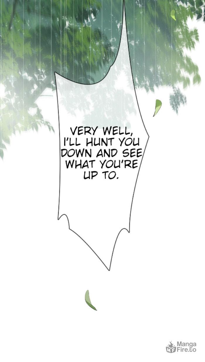Captive Gray Wolf page 41