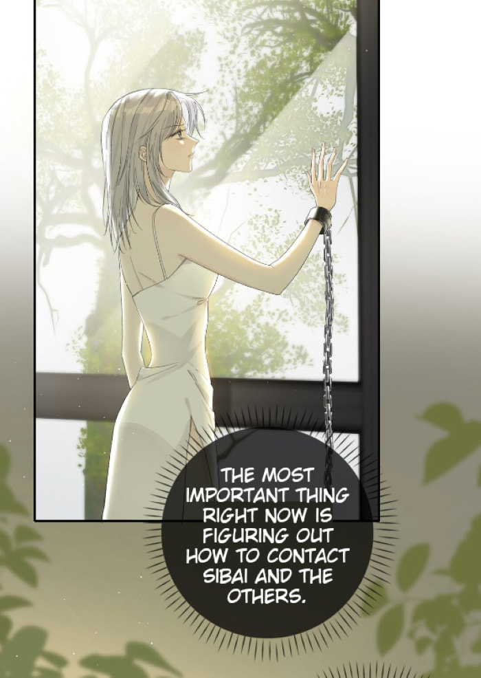 Captive Gray Wolf page 37